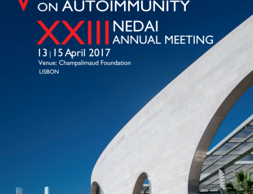 Candidaturas a Prémios e Bolsas NEDAI 2017